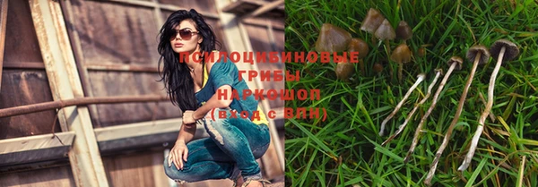 кокс Алексин